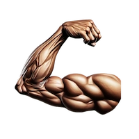 File:Steroids.webp